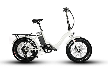 Reliable and robust electric bike - CITY FAT-STEP20 - 48V 500W