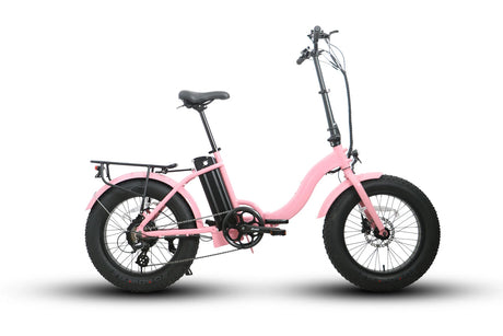 Reliable and robust electric bike - CITY FAT-STEP20 - 48V 500W