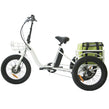 Compact City Trike 48V 500W - RAYL Bikes