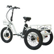 Compact City Trike 48V 500W - RAYL Bikes