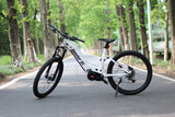 Electric Mountain Bike FAT Specter-ST
